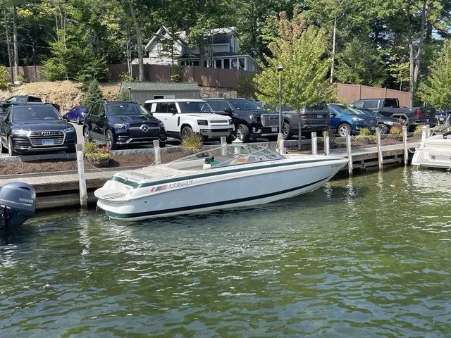 Slide: The Image of Cobalt 252 2000 - 1