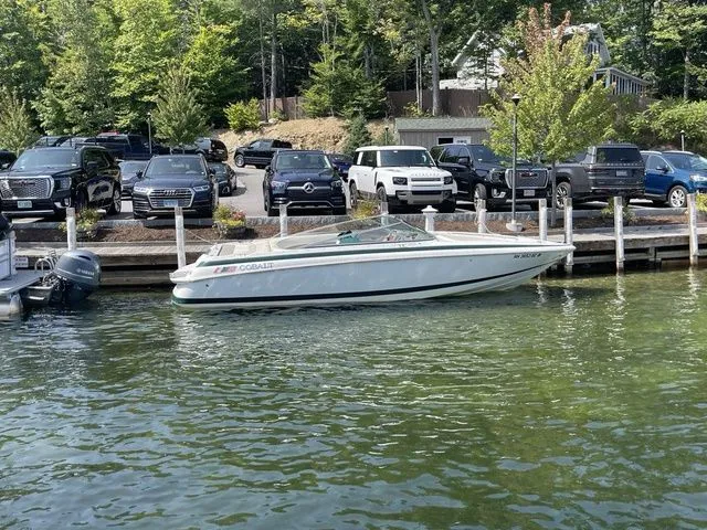 Slide: The Image of Cobalt 252 2000 - 2