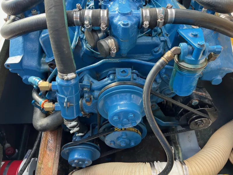 Slide: The Image of Bertram Express Moppie 1984 - 19