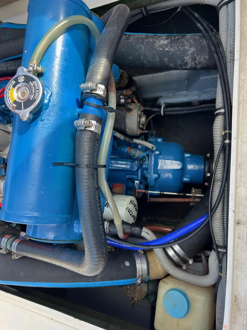 Slide: The Image of Bertram Express Moppie 1984 - 28