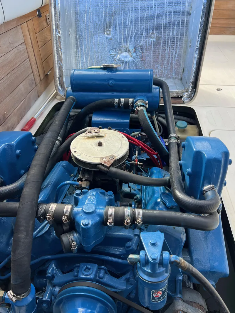 Slide: The Image of Bertram Express Moppie 1984 - 32