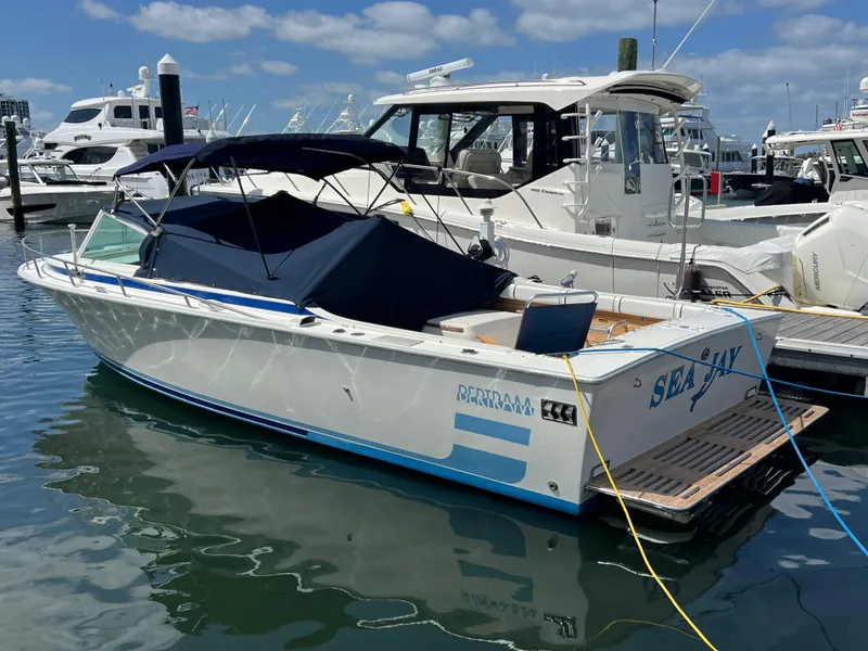 Slide: The Image of Bertram Express Moppie 1984 - 35