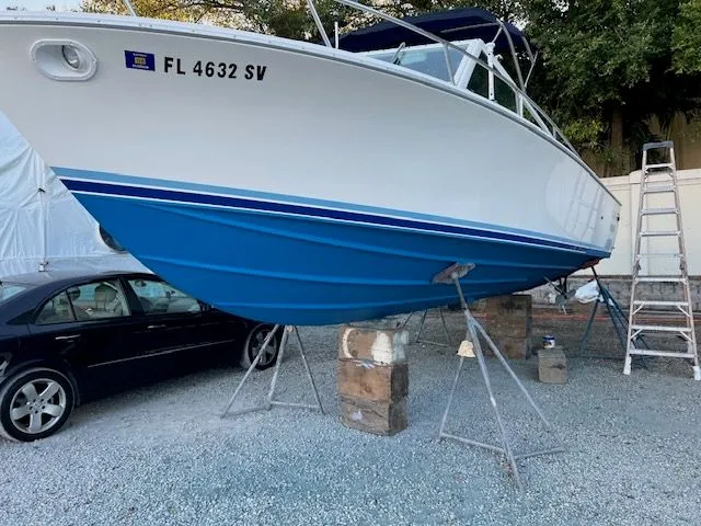 Slide: The Image of 1984 Bertram Express Moppie boat propped on gravel lot. - 37