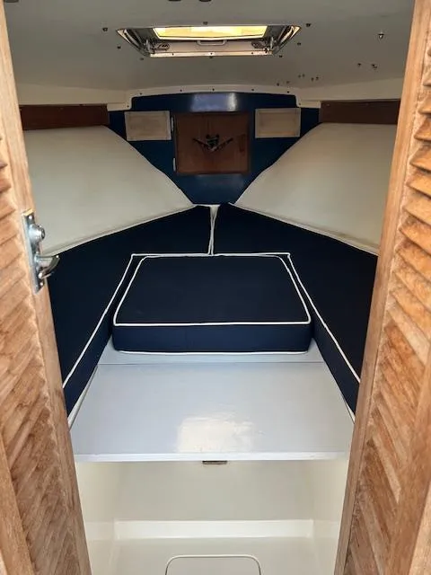 Slide: The Image of Bertram Express Moppie 1984 - 4