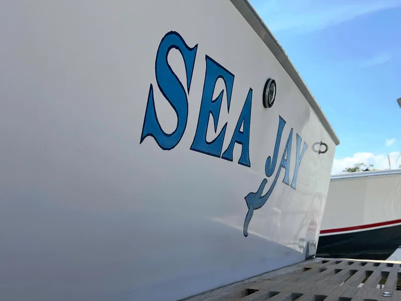 Slide: The Image of Bertram Express Moppie 1984 - 9