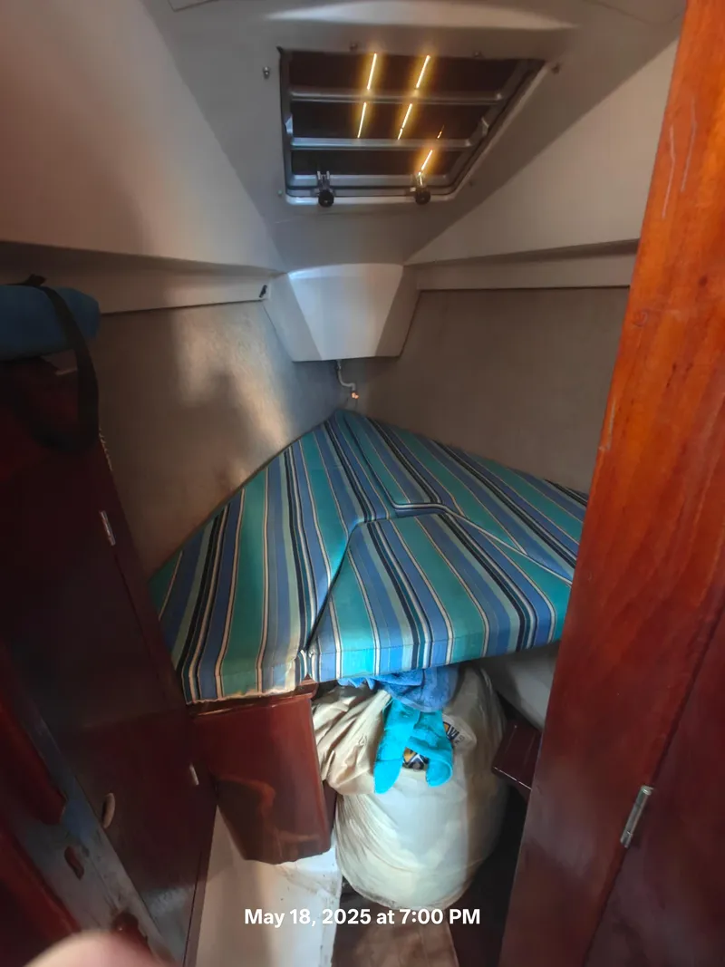 Slide: The Image of Hunter 31 1984 - 31