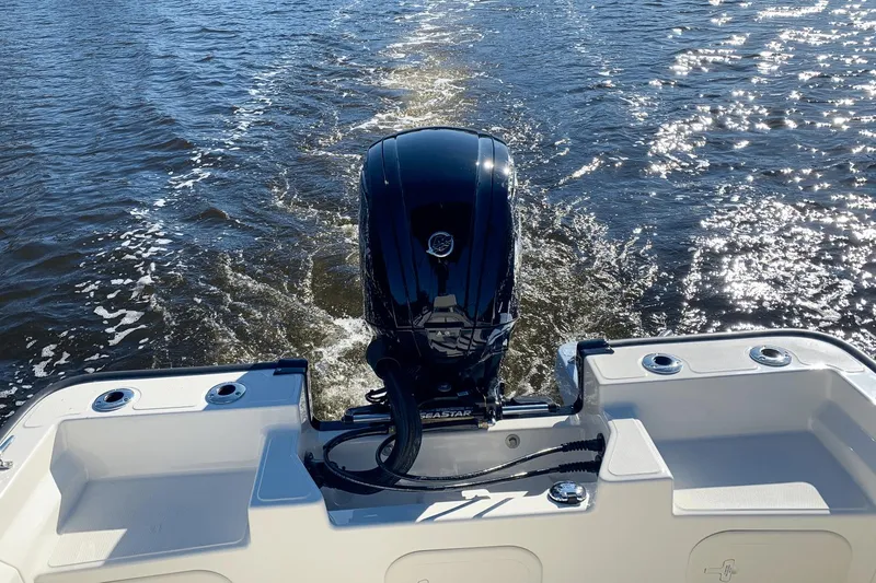 Slide: The Image of Boston Whaler 17 Montauk 2020 - 10