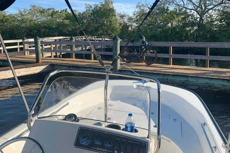 Slide: The Image of Boston Whaler 17 Montauk 2020 - 15