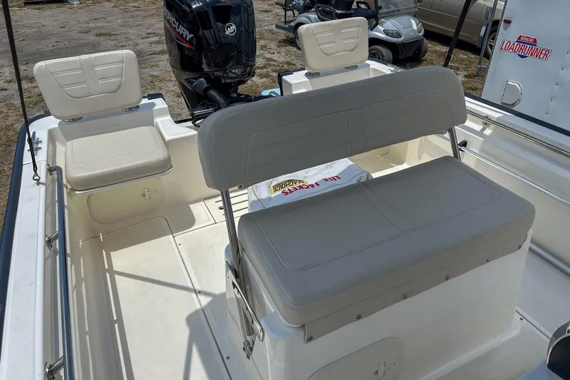 Slide: The Image of Boston Whaler 17 Montauk 2020 - 21