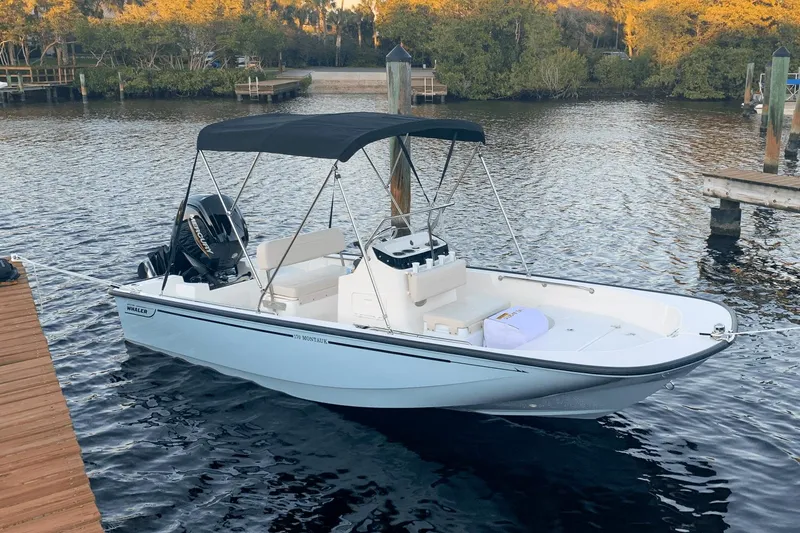 Slide: The Image of Boston Whaler 17 Montauk 2020 - 5