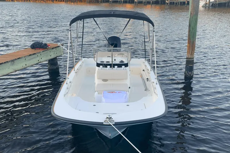 Slide: The Image of Boston Whaler 17 Montauk 2020 - 6