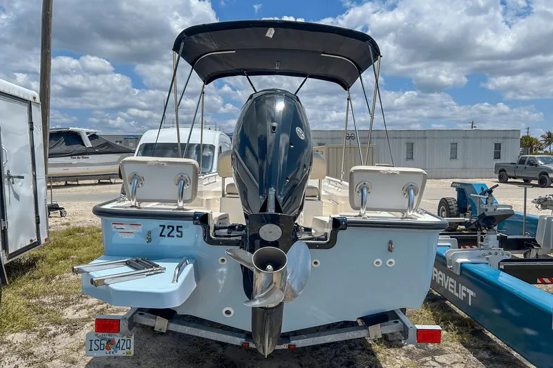 Slide: The Image of Boston Whaler 17 Montauk 2020 - 8