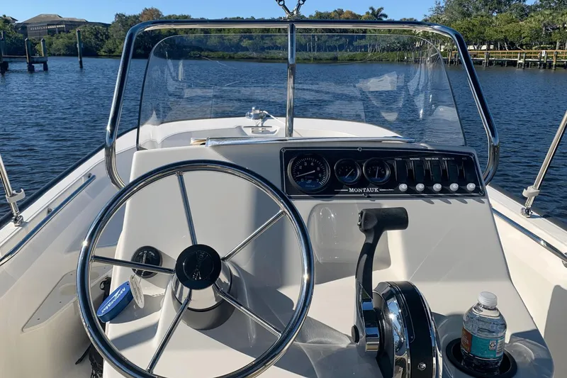 Slide: The Image of Boston Whaler 17 Montauk 2020 - 9