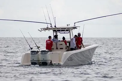 Slide: The Image of Manufacturer Provided Image - 4