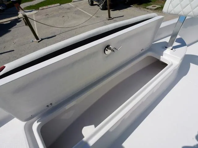 Slide: The Image of Clearwater 21 Baystar 2025 - 19