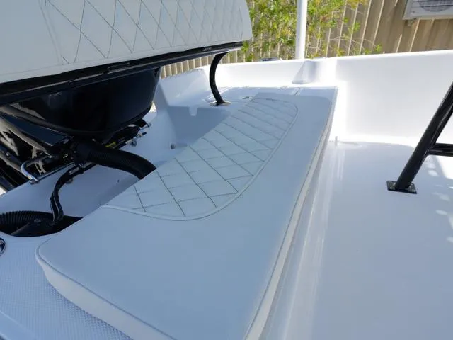 Slide: The Image of Clearwater 21 Baystar 2025 - 25