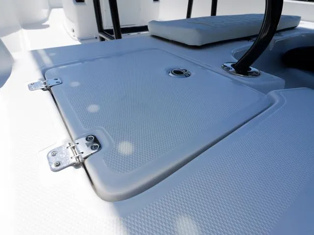 Slide: The Image of Clearwater 21 Baystar 2025 - 33