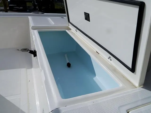 Slide: The Image of Bonita Little Snapper 171 2025 - 10