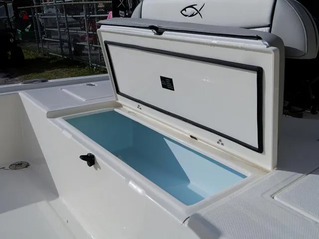 Slide: The Image of Bonita Little Snapper 171 2025 - 11