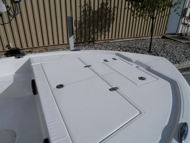 Slide: The Image of Bonita Little Snapper 171 2025 - 18