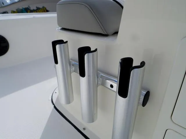 Slide: The Image of Bonita Little Snapper 171 2025 - 21