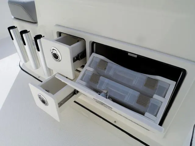 Slide: The Image of Bonita Little Snapper 171 2025 - 22