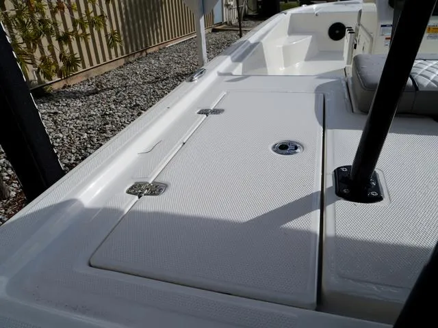 Slide: The Image of Bonita Little Snapper 171 2025 - 25