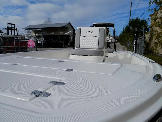 Slide: The Image of Bonita Little Snapper 171 2025 - 30