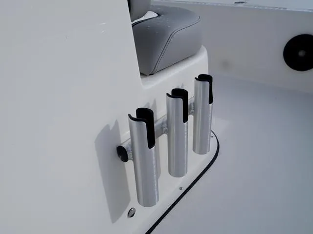 Slide: The Image of Bonita Little Snapper 171 2025 - 36