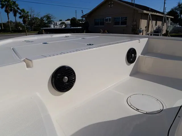 Slide: The Image of Bonita LITTLE SNAPPER 171 (SHALLOW WATER) 2025 - 14