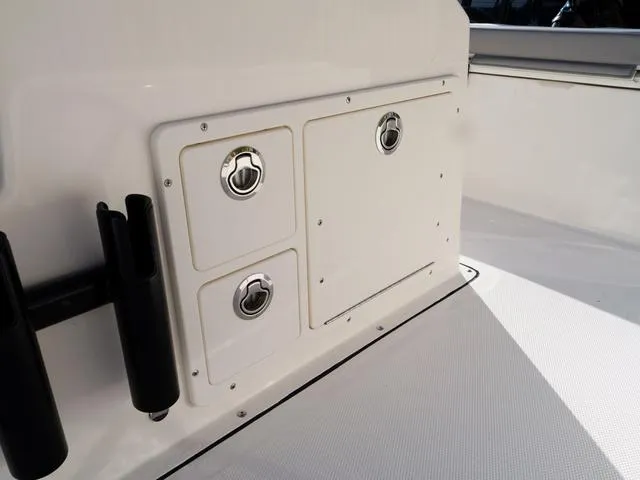 Slide: The Image of Bonita LITTLE SNAPPER 171 (SHALLOW WATER) 2025 - 24