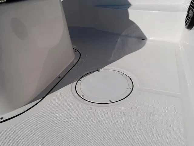 Slide: The Image of Bonita LITTLE SNAPPER 171 (SHALLOW WATER) 2025 - 32