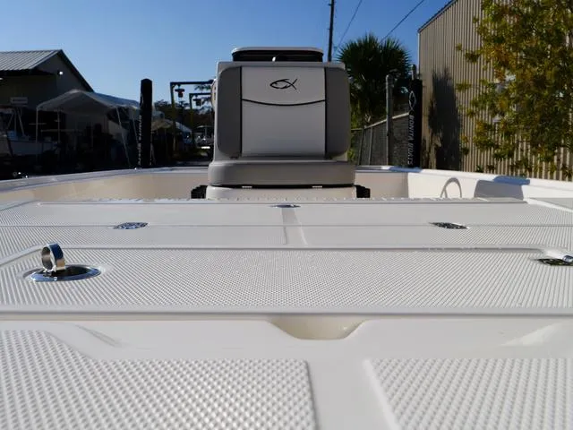 Slide: The Image of Bonita LITTLE SNAPPER 171 (SHALLOW WATER) 2025 - 35