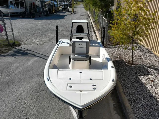 Slide: The Image of Bonita LITTLE SNAPPER 171 (SHALLOW WATER) 2025 - 38