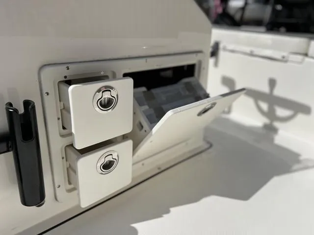 Slide: The Image of Bonita LITTLE SNAPPER 171 (SHALLOW WATER) 2025 - 7