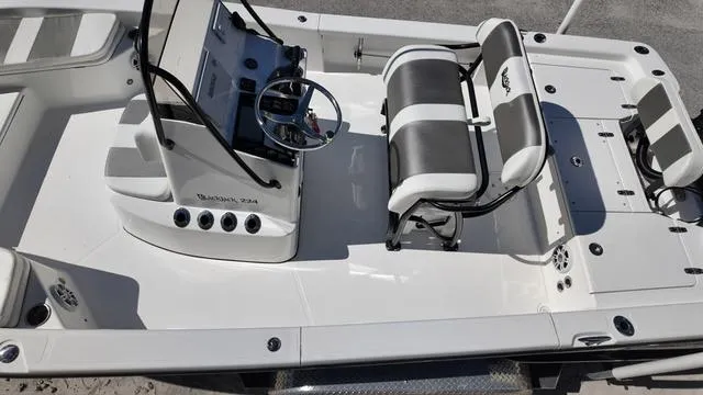 Slide: The Image of Black Jack 224 2021 - 14