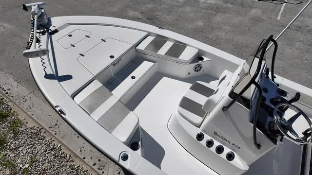 Slide: The Image of Black Jack 224 2021 - 15