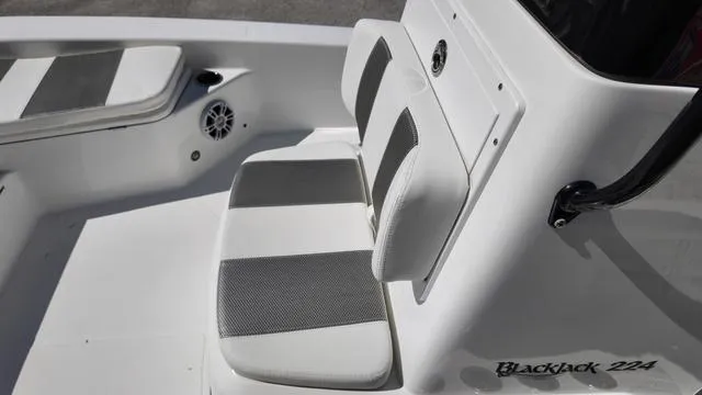 Slide: The Image of Black Jack 224 2021 - 24