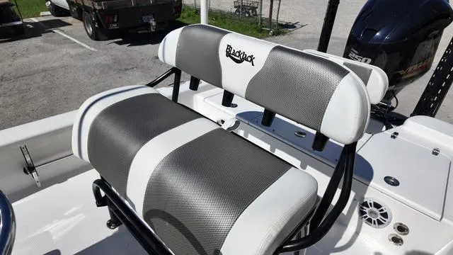 Slide: The Image of Black Jack 224 2021 - 25