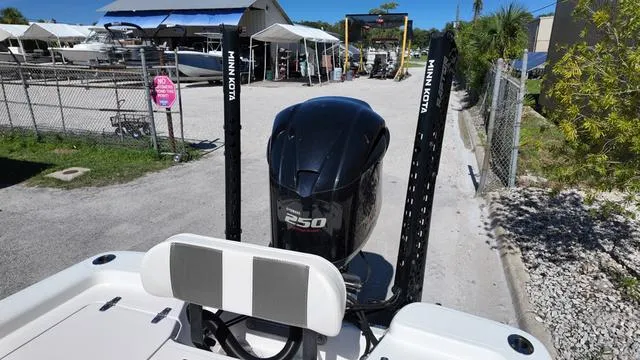 Slide: The Image of Black Jack 224 2021 - 26