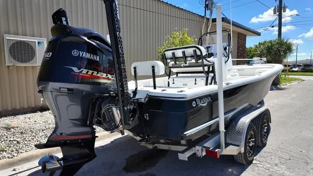 Slide: The Image of Black Jack 224 2021 - 29