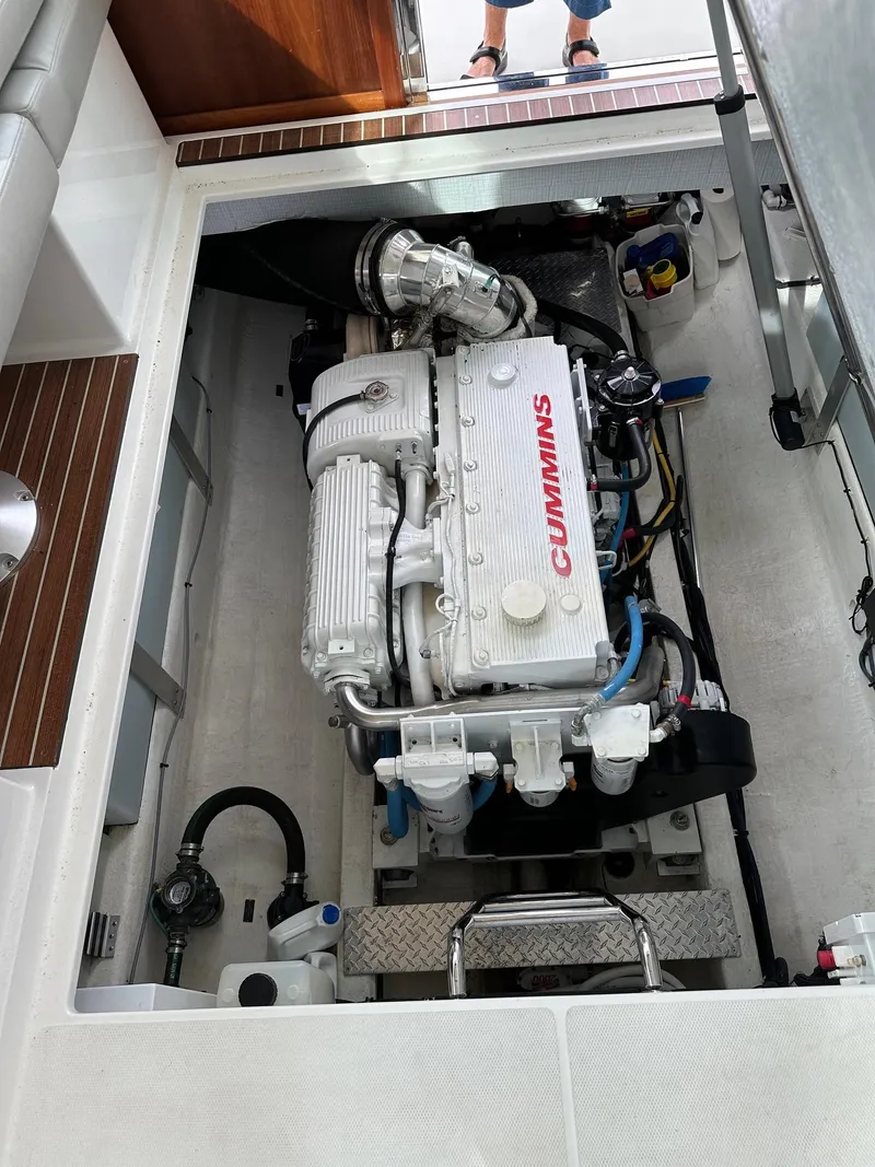 Slide: The Image of Back Cove 41 2020 - 113