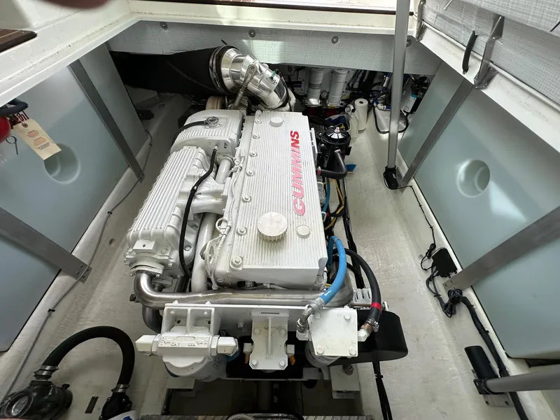 Slide: The Image of Back Cove 41 2020 - 115