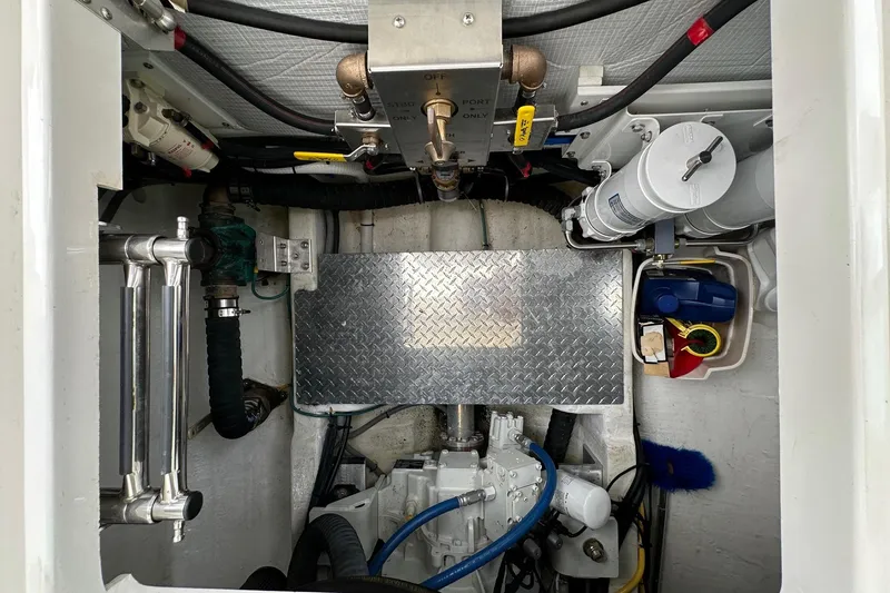 Slide: The Image of Back Cove 41 2020 - 117