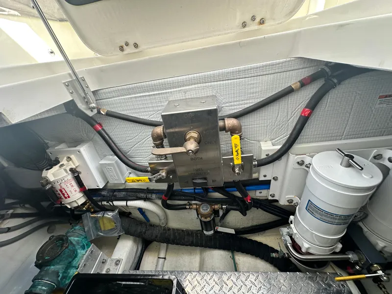 Slide: The Image of Back Cove 41 2020 - 59