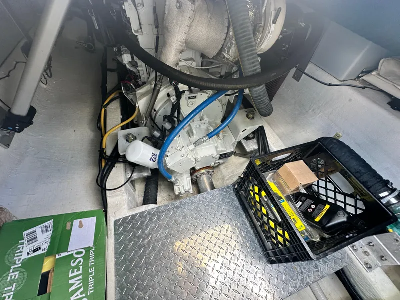 Slide: The Image of Back Cove 41 2020 - 60