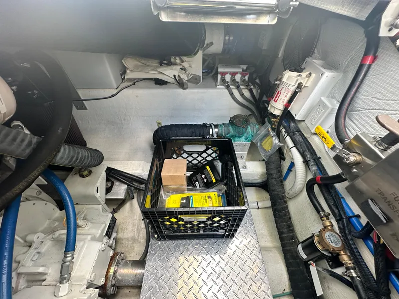 Slide: The Image of Back Cove 41 2020 - 62