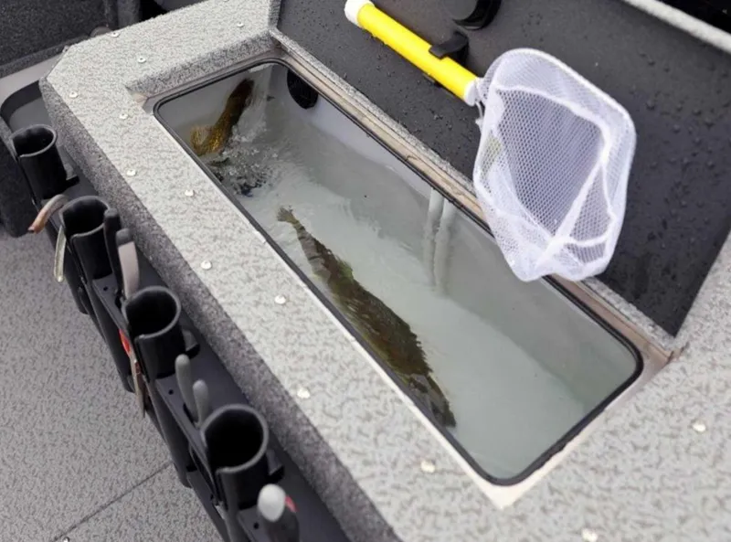 Slide: The Image of Livewell with fish and net on 2026 Lund 1875 Fisherman boat. - 9