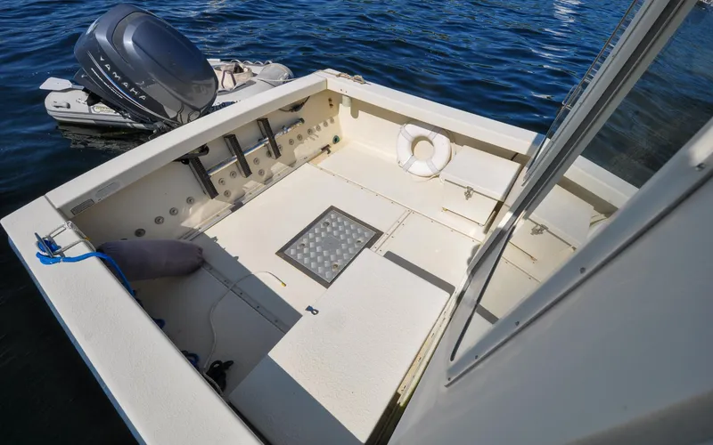 Slide: The Image of Rosborough RF-246 - Aunt Margaret - Cockpit - 16