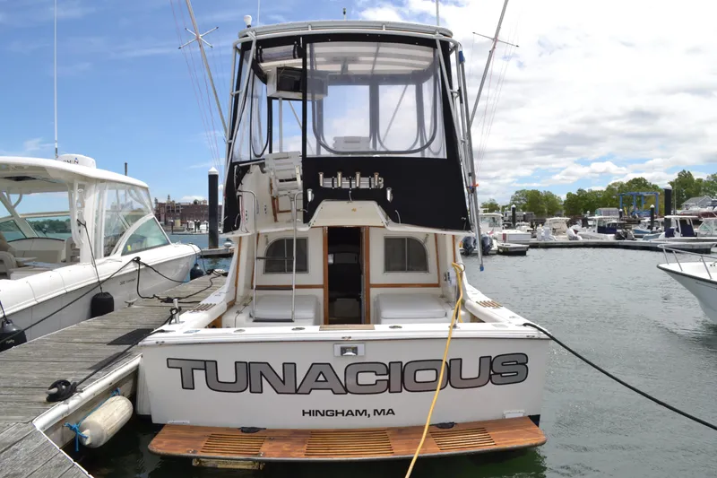 Slide: The Image of Blackfin Flybridge 1986 - 2